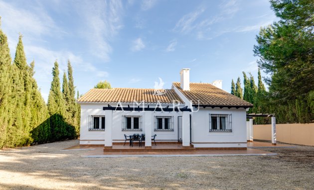 detached - Nieuwbouw Woningen - Fuente Álamo - Fuente Alamo