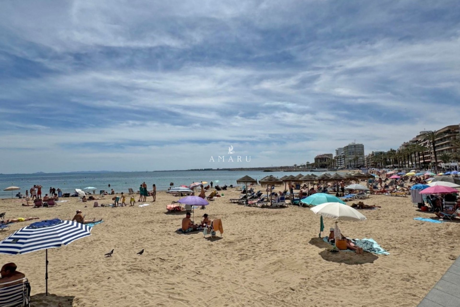 Herverkoop - Apartment -
Torrevieja - Playa del Cura