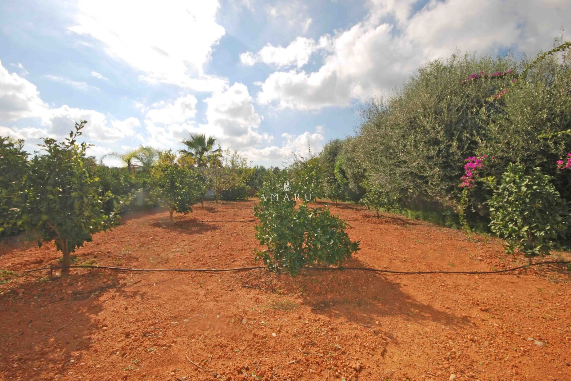 Herverkoop - Villa -
Jávea - Montgó