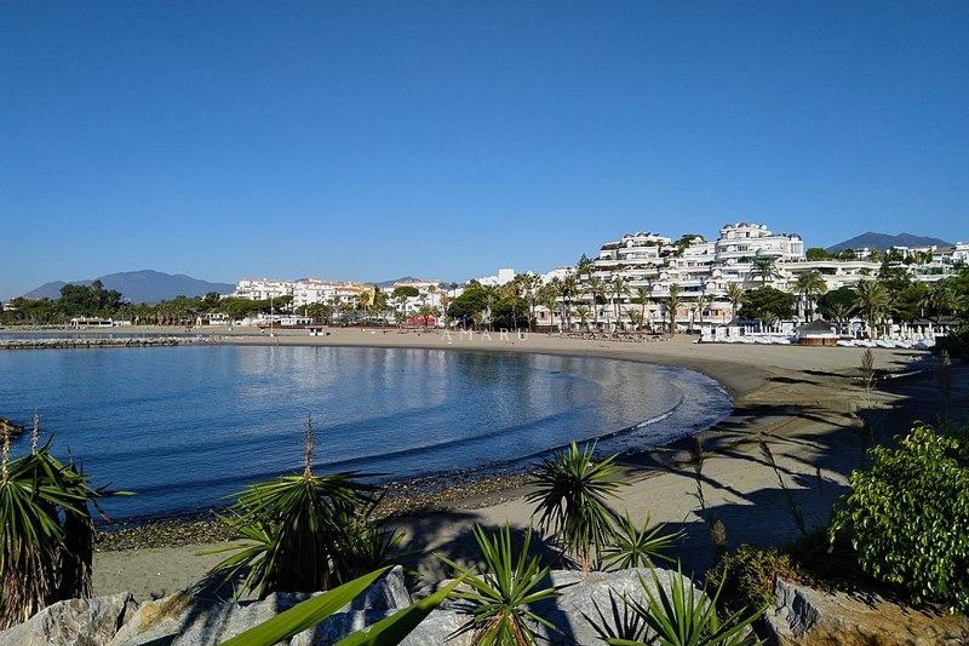 New Build - Apartment -
Marbella - Nueva Andalucia