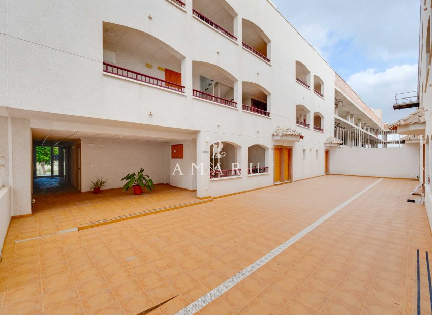 New Build - Apartment -
San Fulgencio