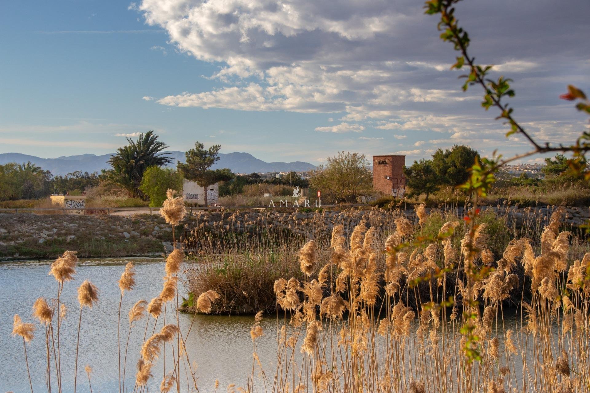 New Build - Bungalow -
Guardamar del Segura - Guardamar Del Segura