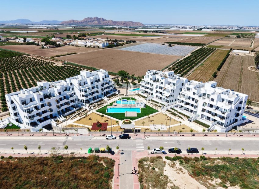 New Build - ground-floor -
Santa Rosalía