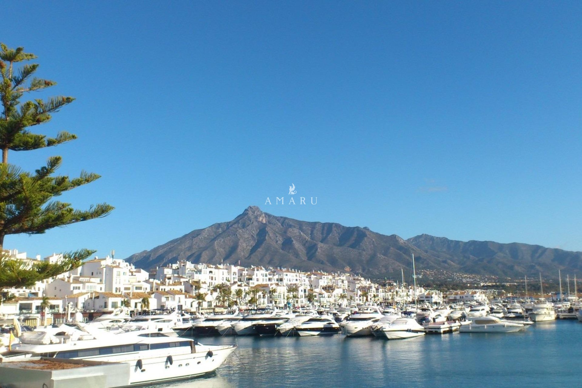 Nieuwbouw Woningen - Apartment -
Marbella - Nueva Andalucia