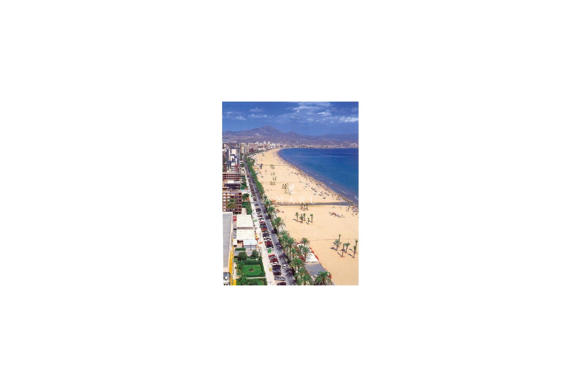 Nieuwbouw Woningen - Apartment -
San Juan Alicante - Franc Espinós