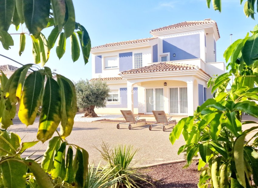 Nieuwbouw Woningen - detached -
Purias