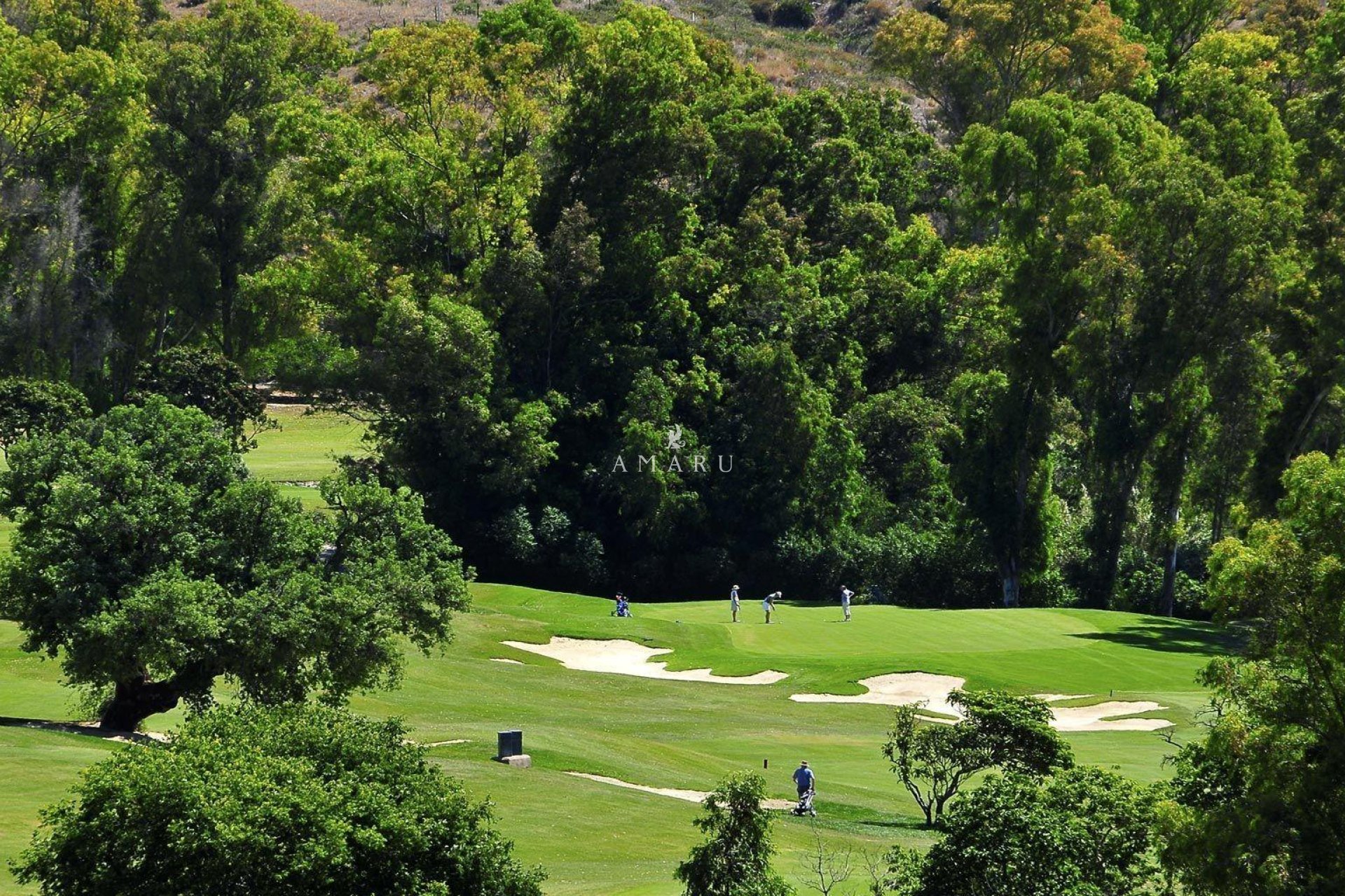 Nouvelle construction - Apartment -
Mijas - Mijas Golf