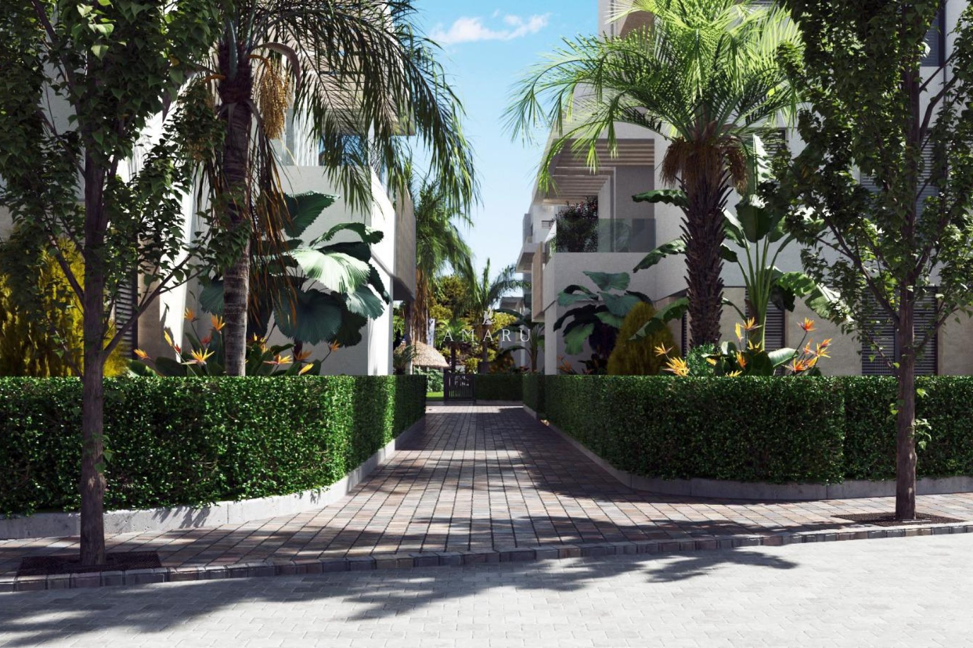 Nouvelle construction - Apartment -
Santa Rosalía