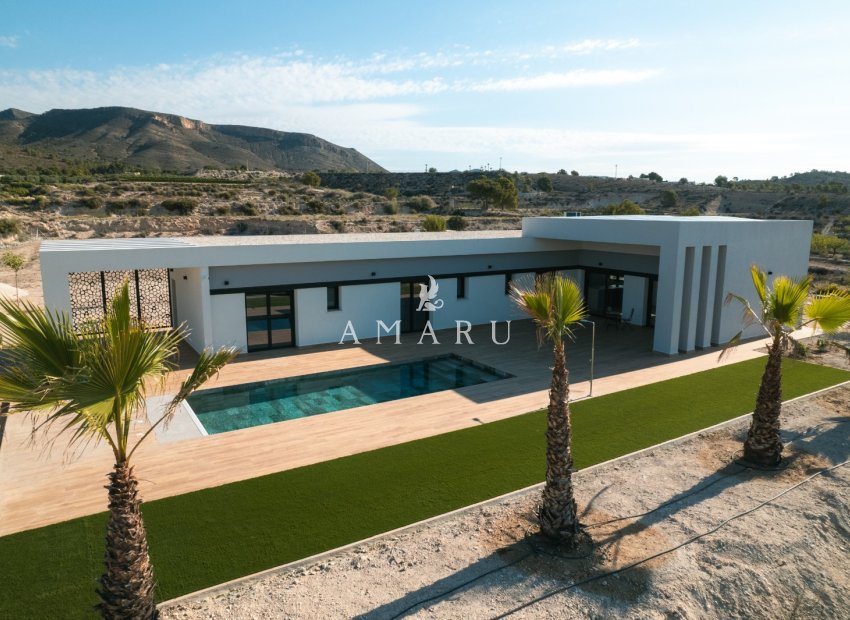 Nouvelle construction - detached -
Pinoso