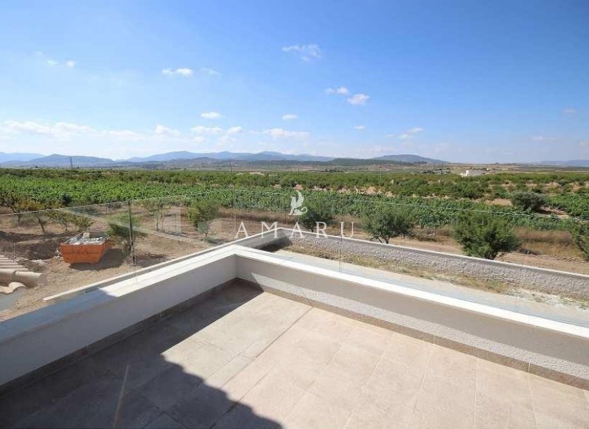 Nouvelle construction - Villa -
Pinoso - Camino Del Prado