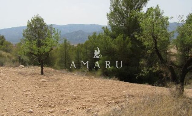 plot - Resale - Murcia -
                Murcia