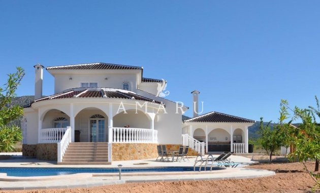 Villa - New Build - Pinoso - Lel