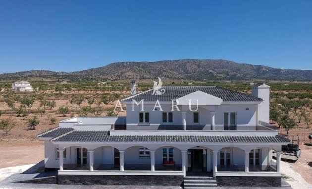 Villa - Nouvelle construction -
            Pinoso - RSG-11796