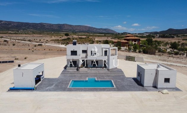 Villa - Nouvelle construction -
            Pinoso - RSG-99766