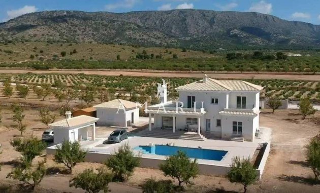 Nieuwbouw Woningen - Villa -
Pinoso - Camino Del Prado