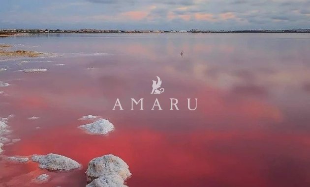 New Build - Bungalow -
Torrevieja - Lago Jardín II