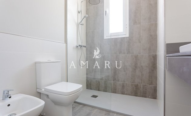 Nieuwbouw Woningen - Penthouse -
Vera