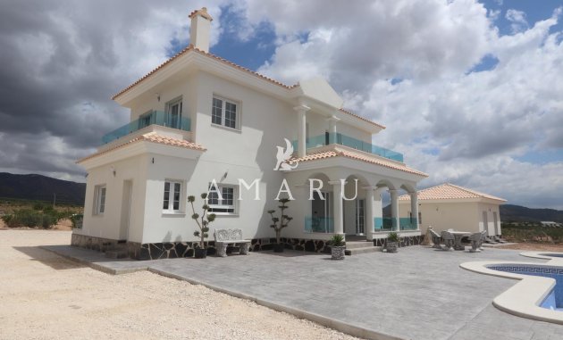 Nieuwbouw Woningen - Villa -
Pinoso - Camino Del Prado