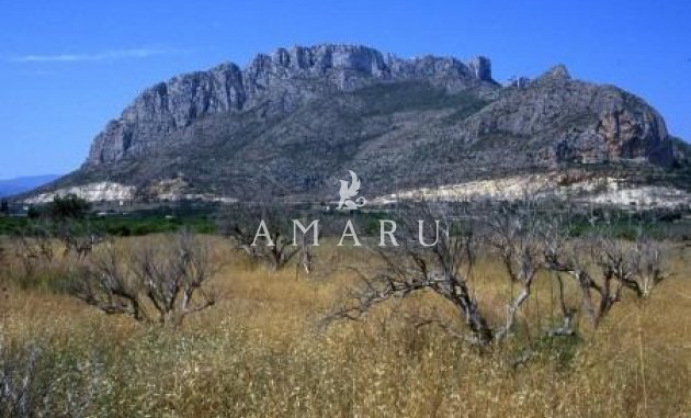 Nouvelle construction - Apartment -
El Verger