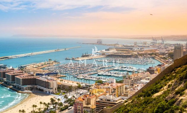 Nouvelle construction - detached -
Mutxamel