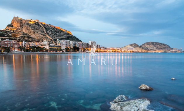 Nouvelle construction - detached -
Mutxamel