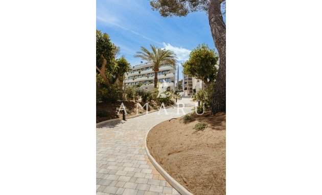 New Build - ground-floor -
Alfaz del Pi