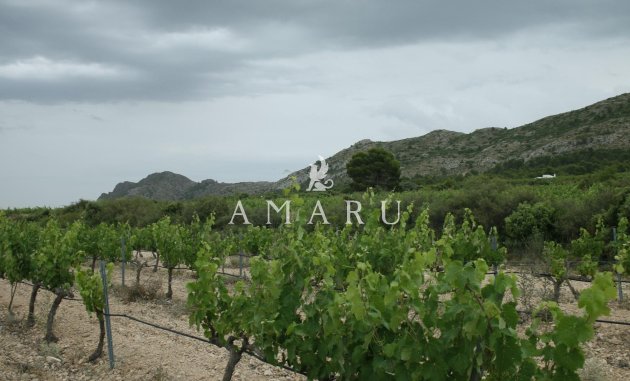 New Build - Villa -
Yecla