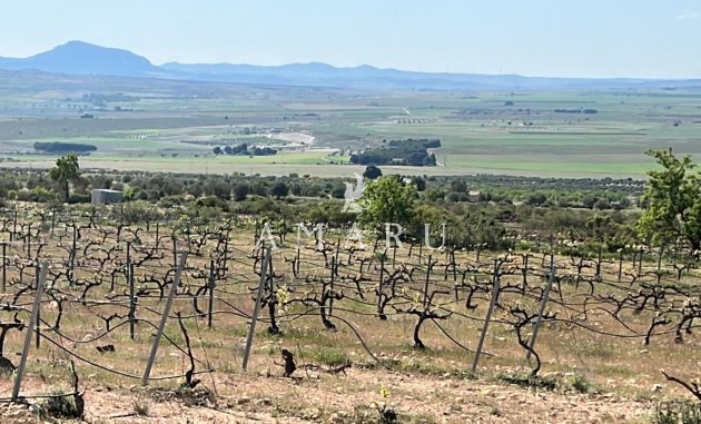 New Build - Villa -
Yecla