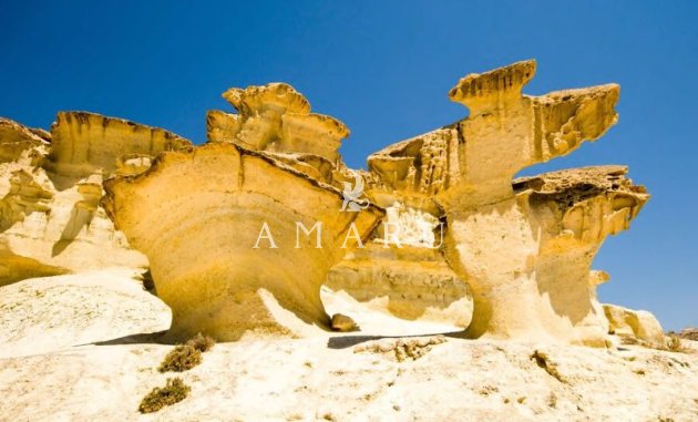 Nouvelle construction - Apartment -
La Manga del Mar Menor - La Manga Del Mar Menor