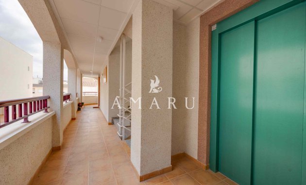 New Build - Apartment -
San Fulgencio