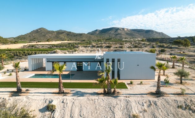 Nouvelle construction - detached -
Pinoso