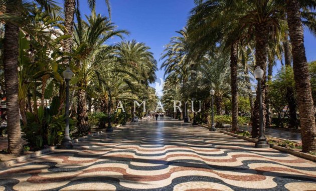 Nieuwbouw Woningen - Penthouse -
Alicante - Centro