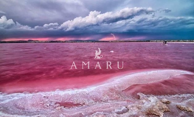 Nieuwbouw Woningen - Apartment -
Torrevieja - Centro